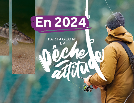 Sites remarquables pour la pêche