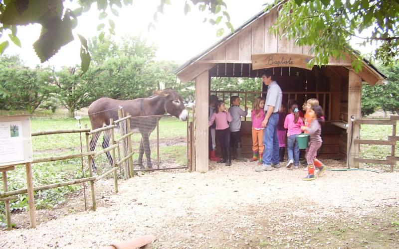 LA FERME DES BALANCES
