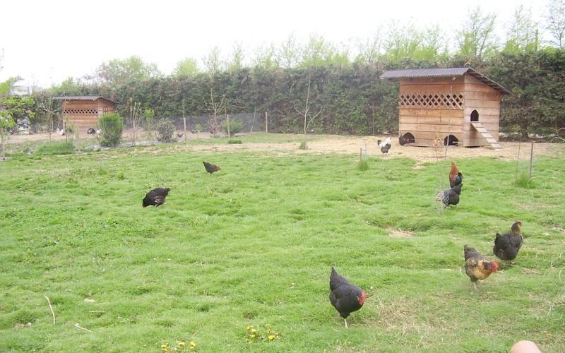 LA FERME DES BALANCES