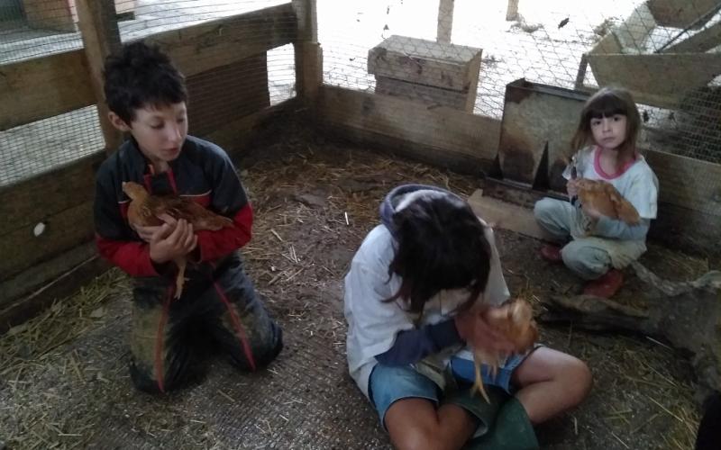 VIVE LES VACANCES À LA FERME - 450 €