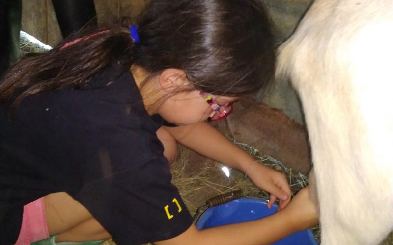 VIVE LES VACANCES À LA FERME - 450 €