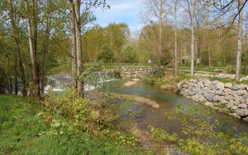 AIRE DE PIQUE NIQUE DE L'ILE D'AGER