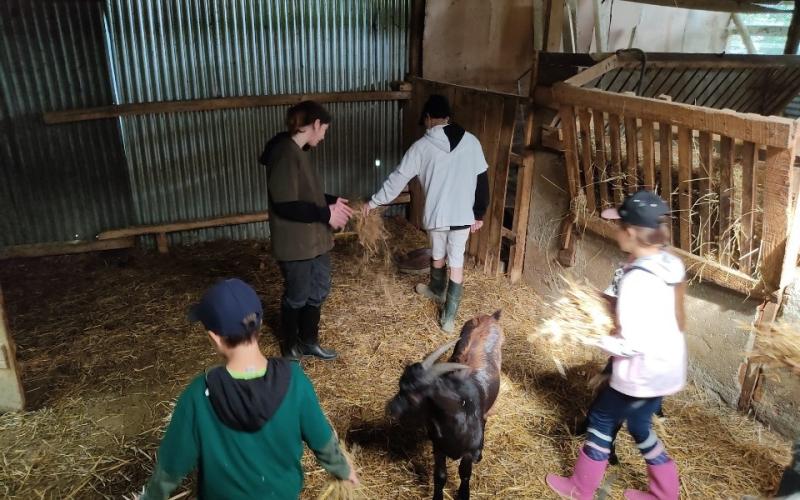 VIVE LES VACANCES À LA FERME - 450 €