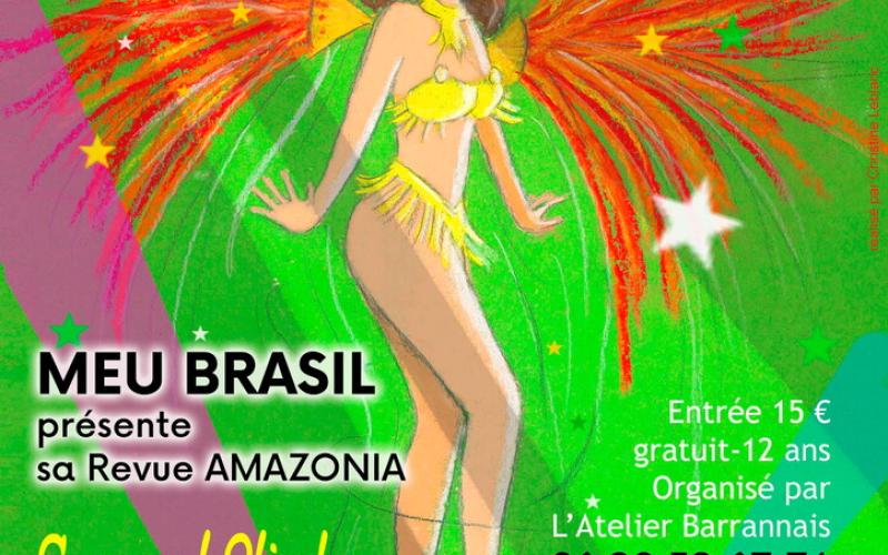 SPECTACLE FÉERIE BRÉSILIENNE