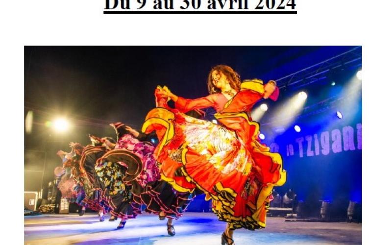 EXPOSITION PHOTO WELCOME IN TZIGANIE