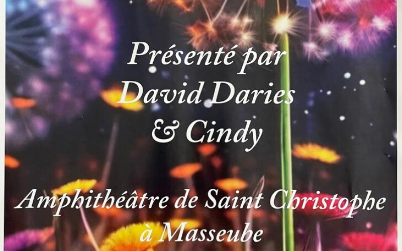 SPECTACLE DE DANSE DAVID&CINDY