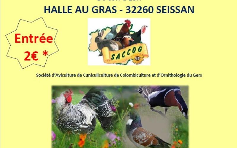 PRÉSENTATION-VENTE D'AVICULTURE