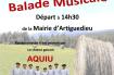 BALADE MUSICALE